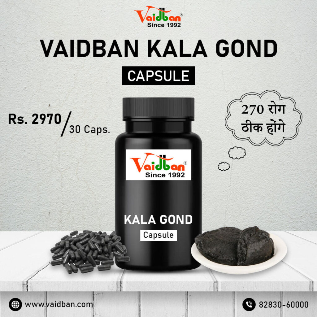 vaidban-kala-gond-capsule-event-of-india